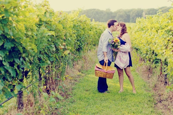 Vineyard picnic vineyard