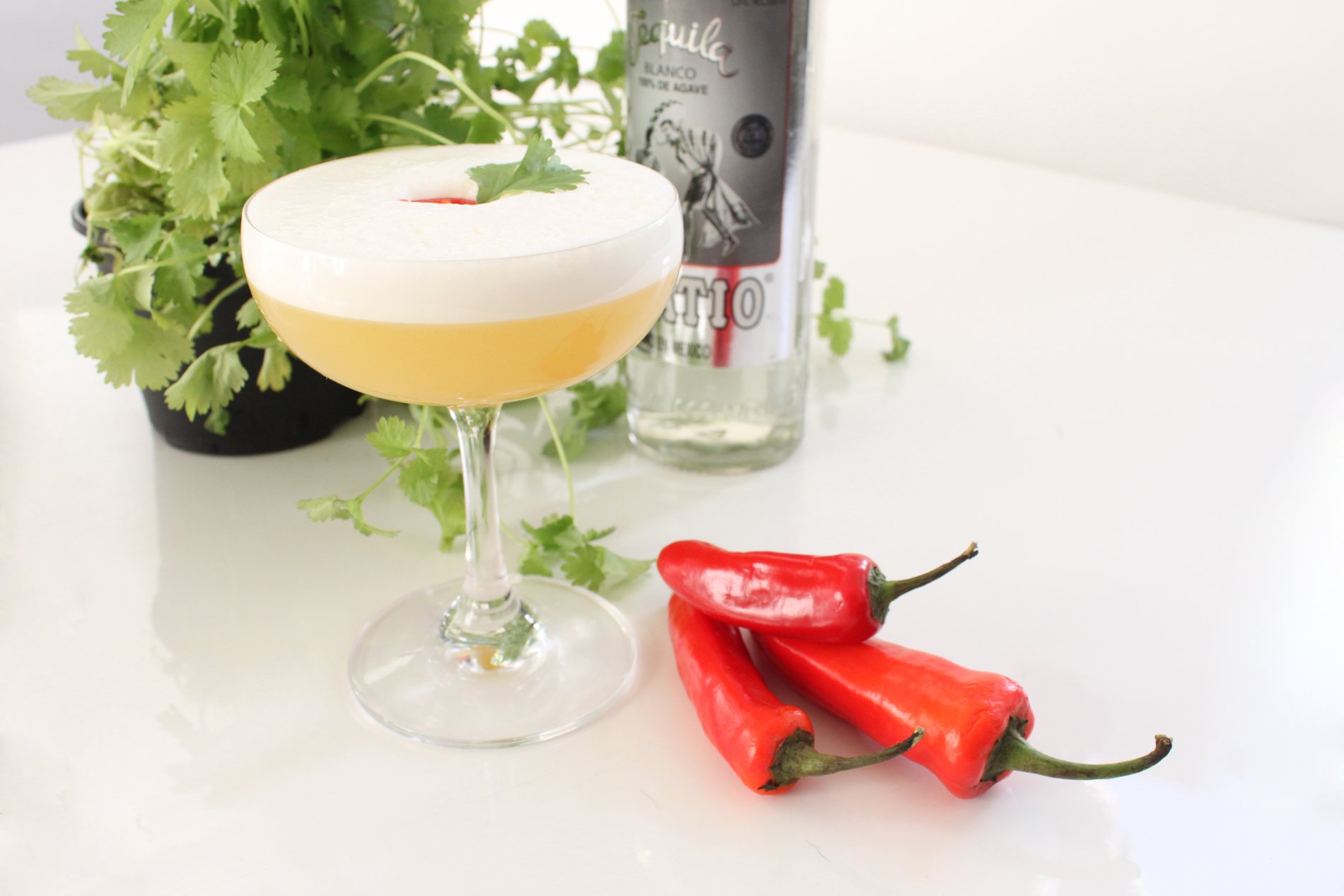 Gatsby-esque coupes by Speakeasy Libations