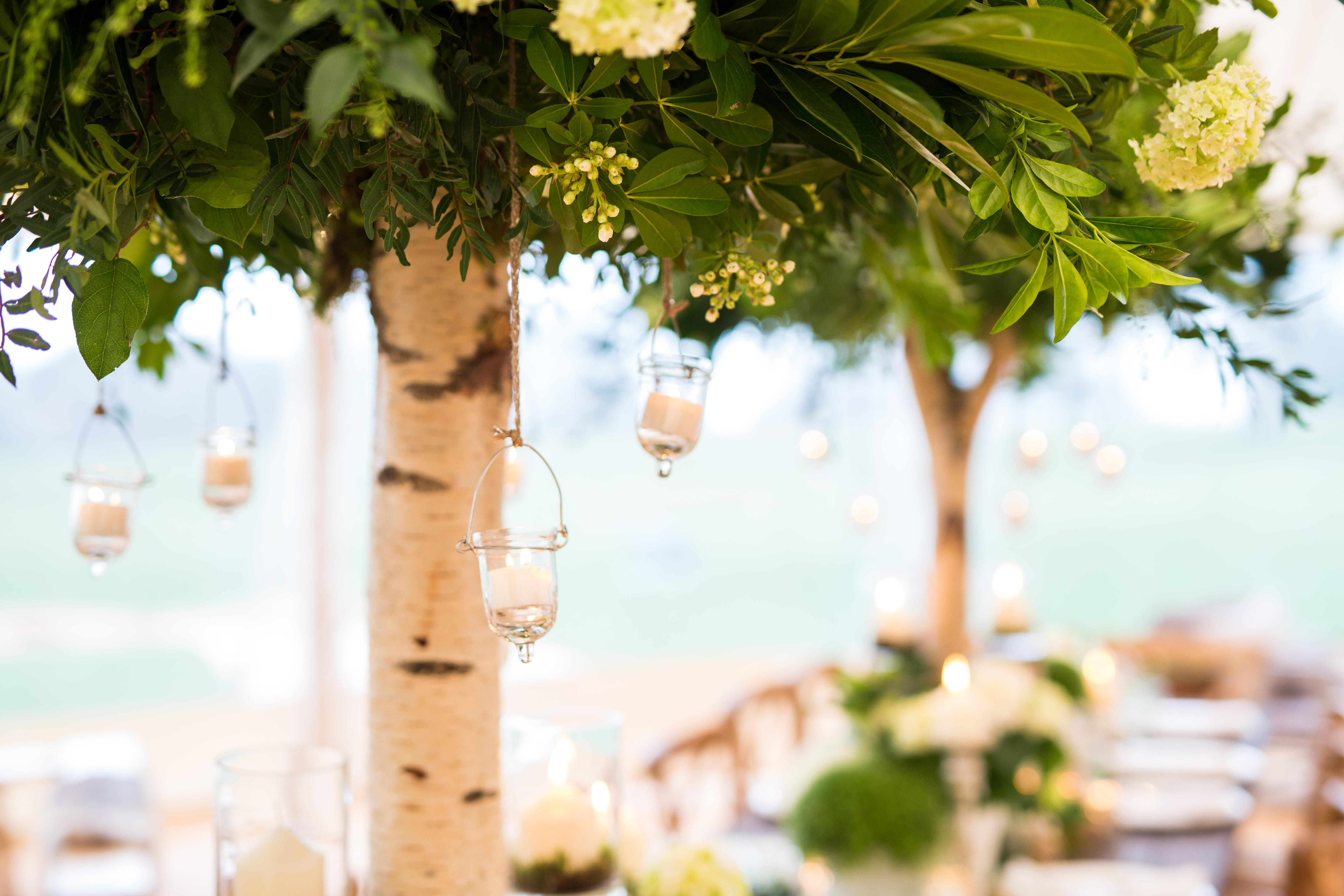 Silver Birch pedestals draw the gaze skyward, celebrating the Sperry's height and space Silver Birch pedestals draw the gaze skyward, celebrating the Sperry's height and space