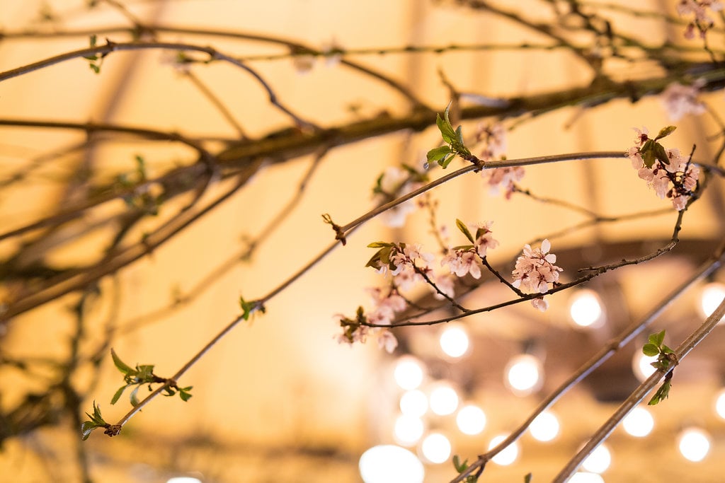 Delicate details captured by Natasha Cadman Photography Delicate details captured by Natasha Cadman Photography