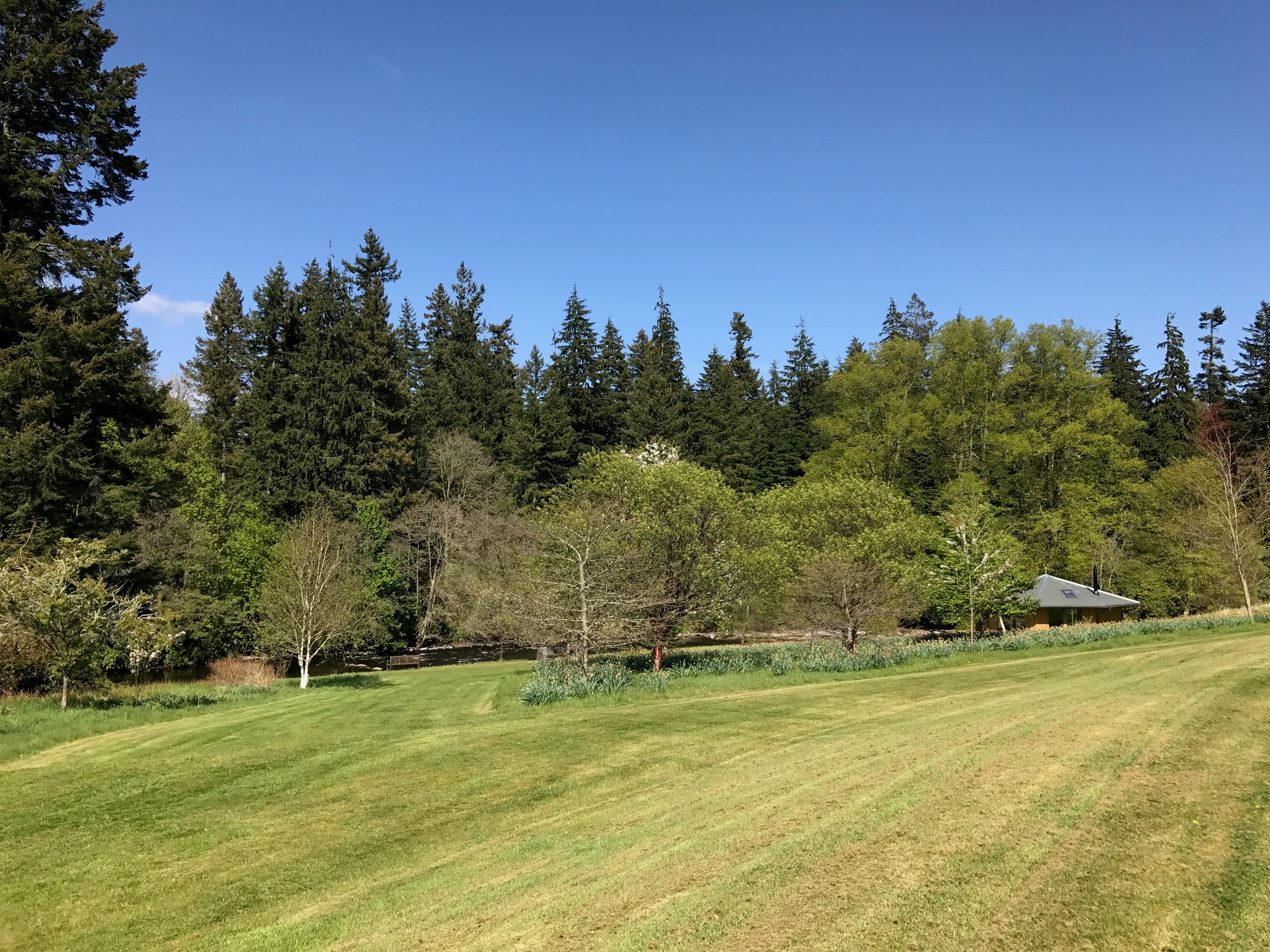 Wilderness Woodland at Lanrick Estate Wilderness Woodland at Lanrick Estate