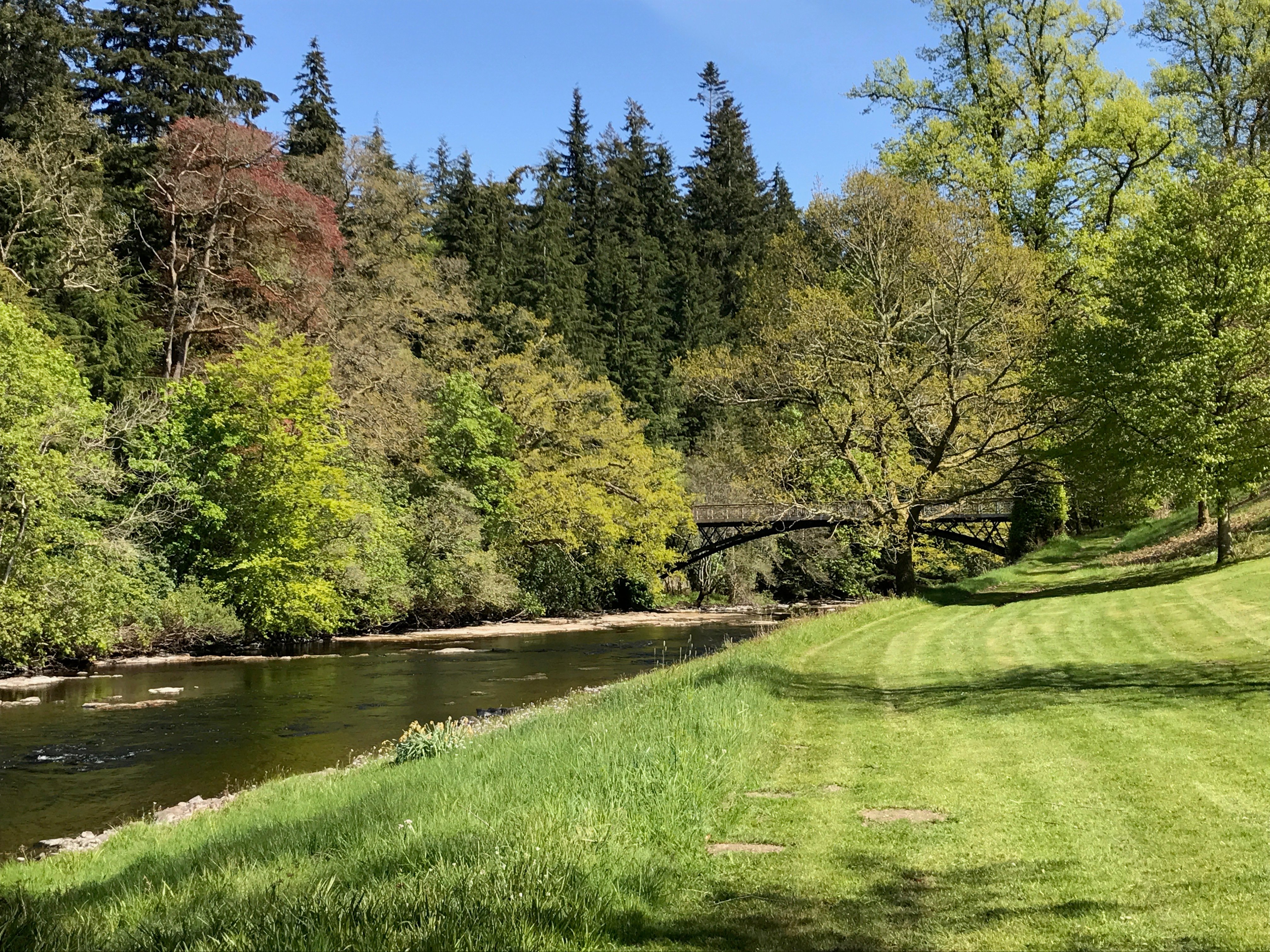 Beautiful Greenery at Lanrick Estate Wedding Venue Beautiful Greenery at Lanrick Estate Wedding Venue