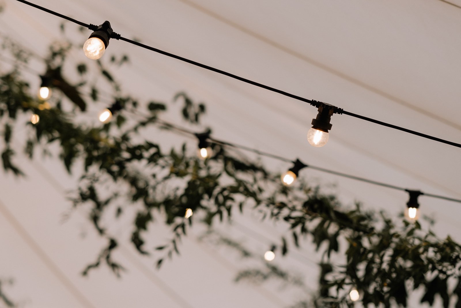 Sophie & James Gorgeous PapaKåta Sperry Tent Wedding in Cambridgeshire, Photographed by Beccy Goddard Photography; Twinkling Festoon Lights