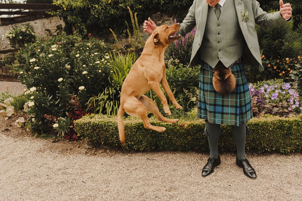 Ruth & Alex PapaKåta Sperry Tent Wedding in Angus, Scotland. Photographed by Anna Urban Photography; That Just Married Feeling