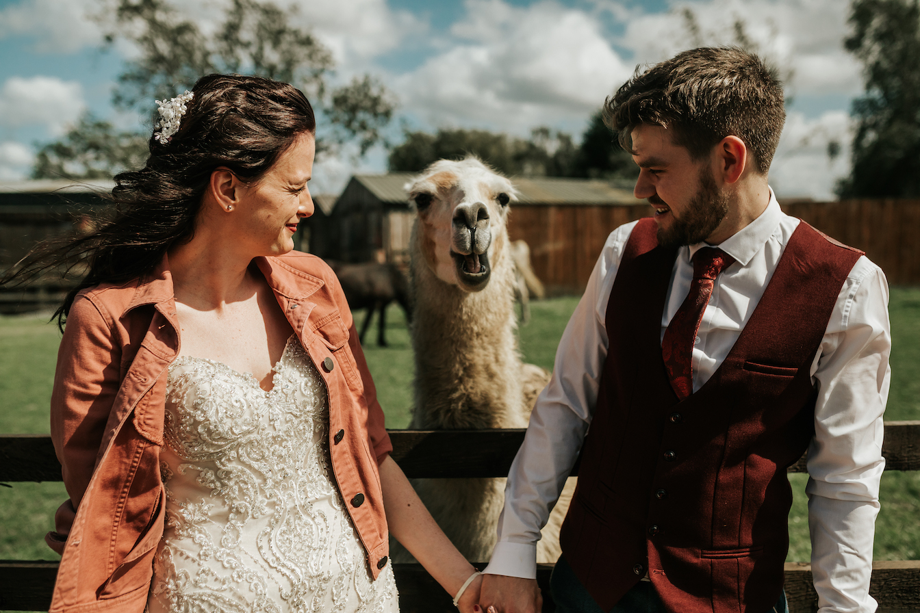Leanne & Michael Gorgeous PapaKåta Tipi Tent Wedding in North Yorkshire, Photography by Charli; Llama fun!